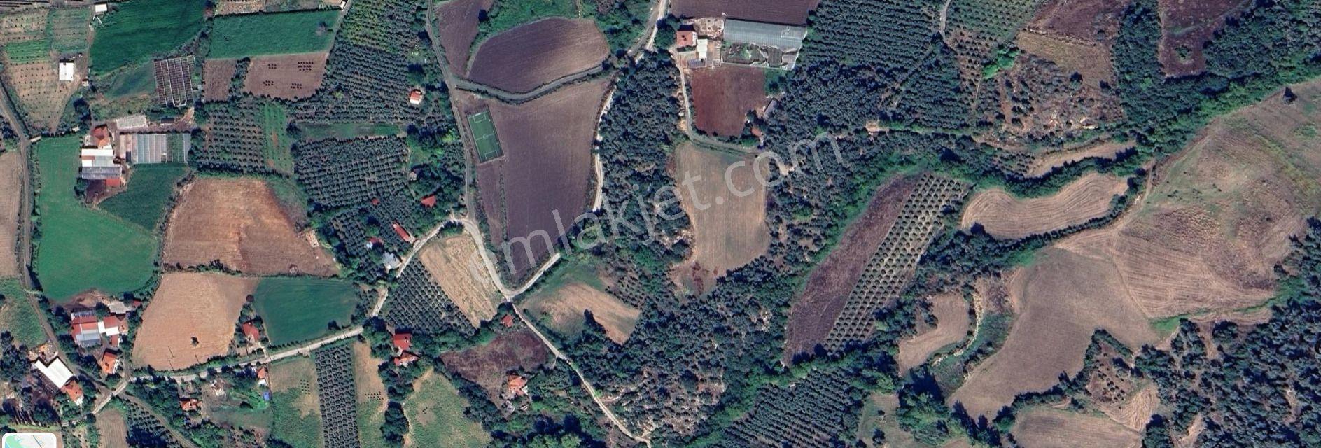 Seydikemer Döğer De 4.572 M² Tarla — fotoğraf 2