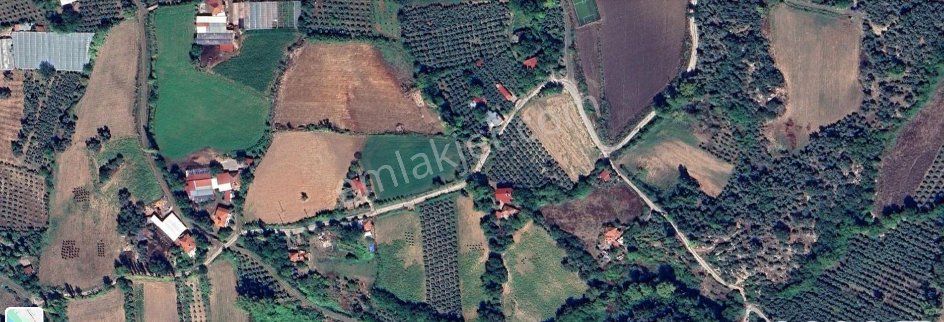 Seydikemer Döğer De 4.572 M² Tarla — fotoğraf 3