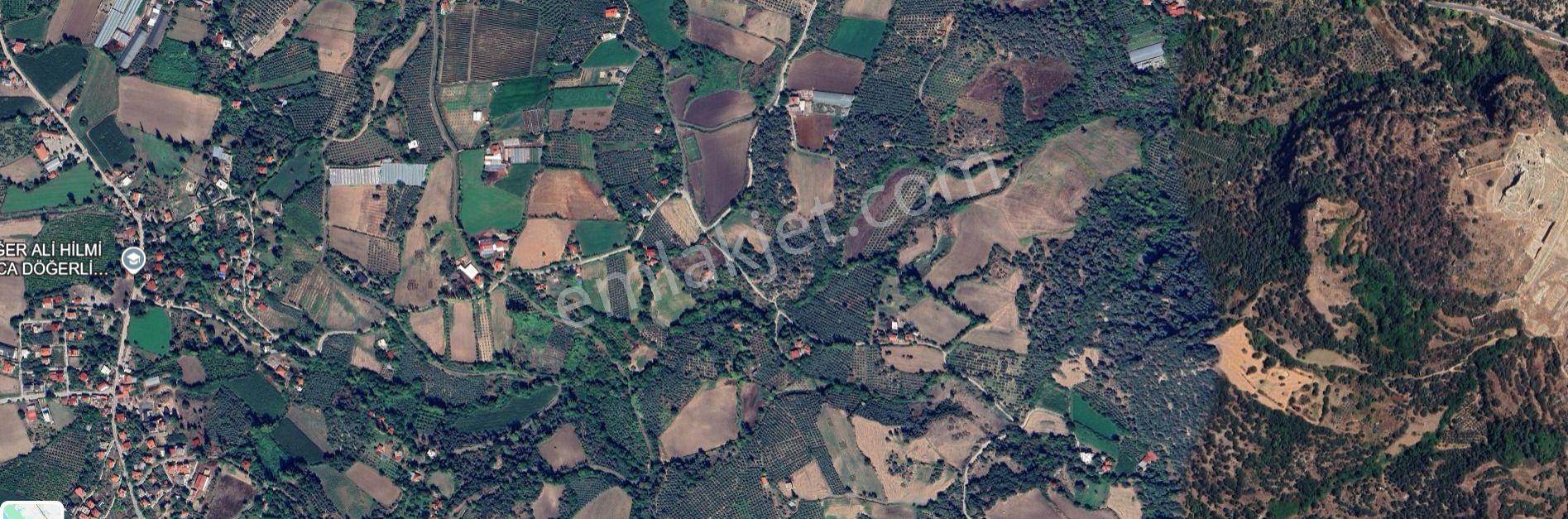 Seydikemer Döğer De 4.572 M² Tarla — fotoğraf 5