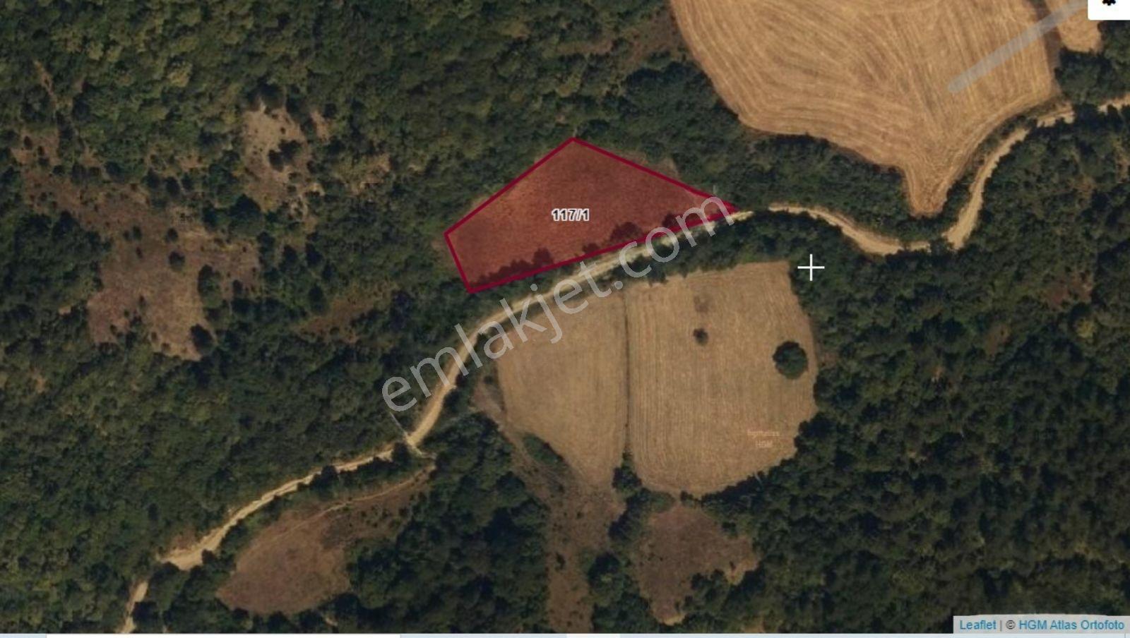 Bolu Merkez Dereceören Köyü (3507 M2) Yola Cepheli Satılık Tarla