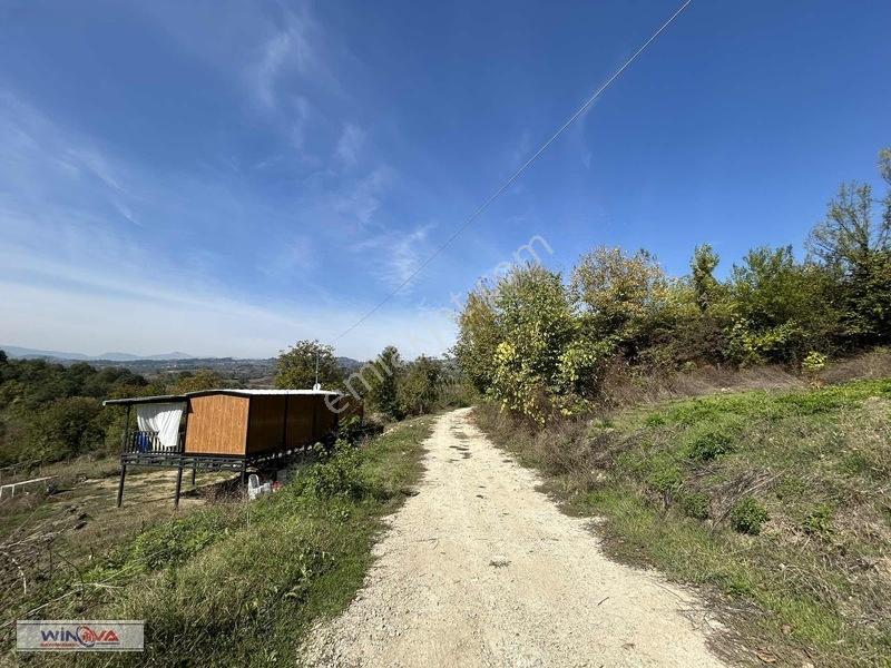 Winova| Muratbey Köyü'nde Orman Manzaralı 1328 M2 İmarlı Arsa! — fotoğraf 11