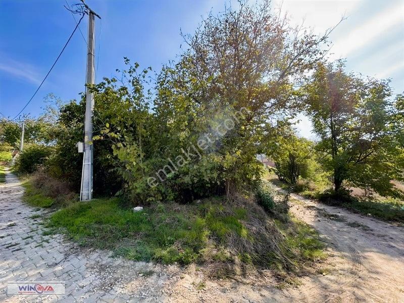 Winova| Muratbey Köyü'nde Orman Manzaralı 1328 M2 İmarlı Arsa! — fotoğraf 12