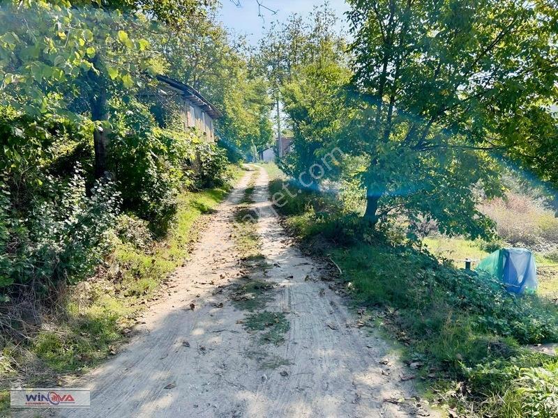 Winova| Muratbey Köyü'nde Orman Manzaralı 1328 M2 İmarlı Arsa! — fotoğraf 13
