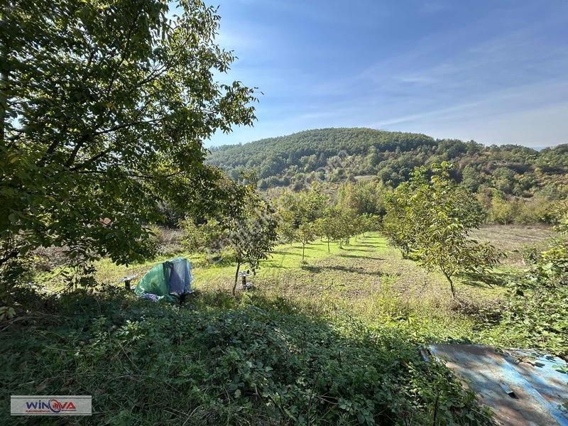 Winova| Muratbey Köyü'nde Orman Manzaralı 1328 M2 İmarlı Arsa! — fotoğraf 14