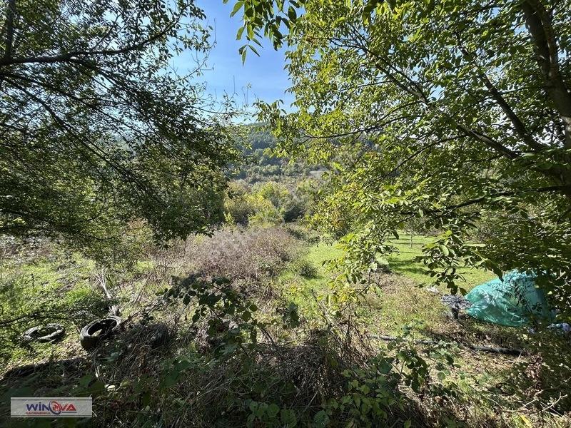 Winova| Muratbey Köyü'nde Orman Manzaralı 1328 M2 İmarlı Arsa! — fotoğraf 15