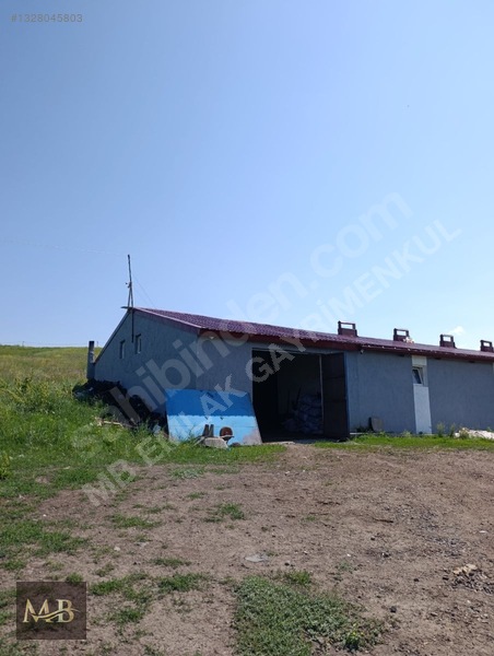 Mezra Köyü İçinde Satılık Tam Teşekküllü Çiftlik Yeri