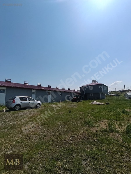 Mezra Köyü İçinde Satılık Tam Teşekküllü Çiftlik Yeri — fotoğraf 2