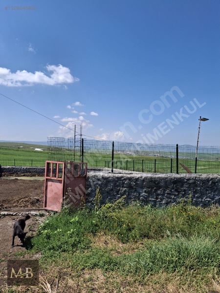Mezra Köyü İçinde Satılık Tam Teşekküllü Çiftlik Yeri — fotoğraf 12