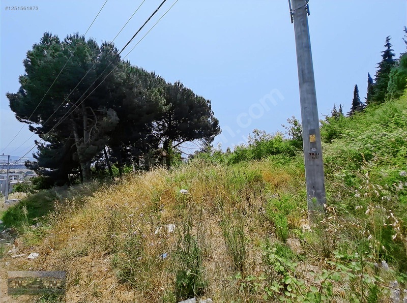 Satılık Yeni Devlet Hastanesine Yakın Uygun Fiyatlı 295 M2 Arsa — fotoğraf 8
