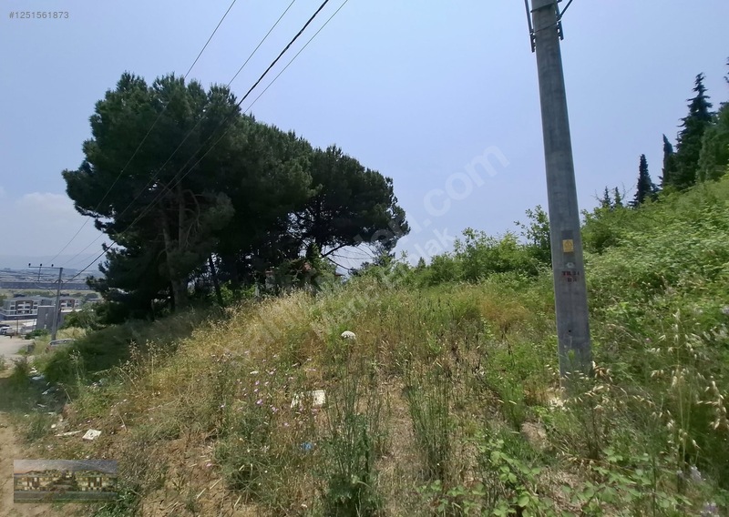 Satılık Yeni Devlet Hastanesine Yakın Uygun Fiyatlı 295 M2 Arsa — fotoğraf 32
