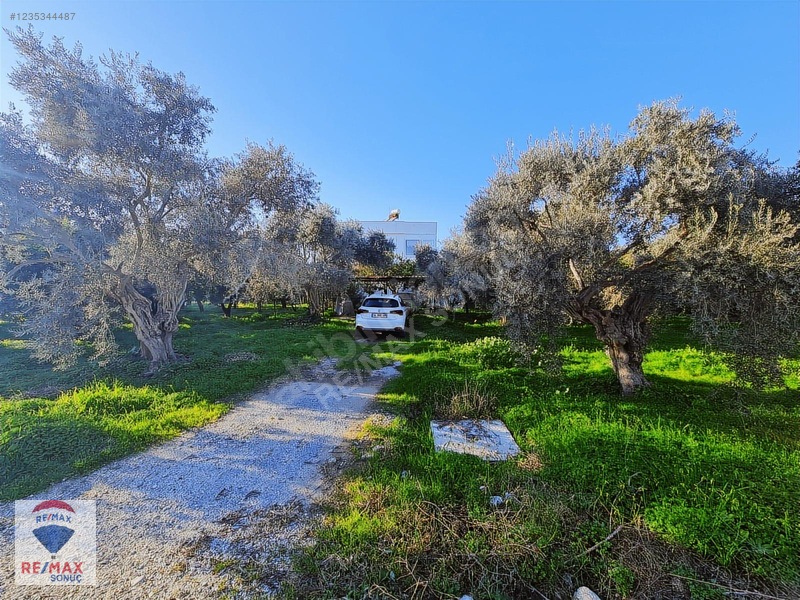 Portakal Bahçeleri İçinde & Denize 400mt Mesafede Müstakil Ev — fotoğraf 29