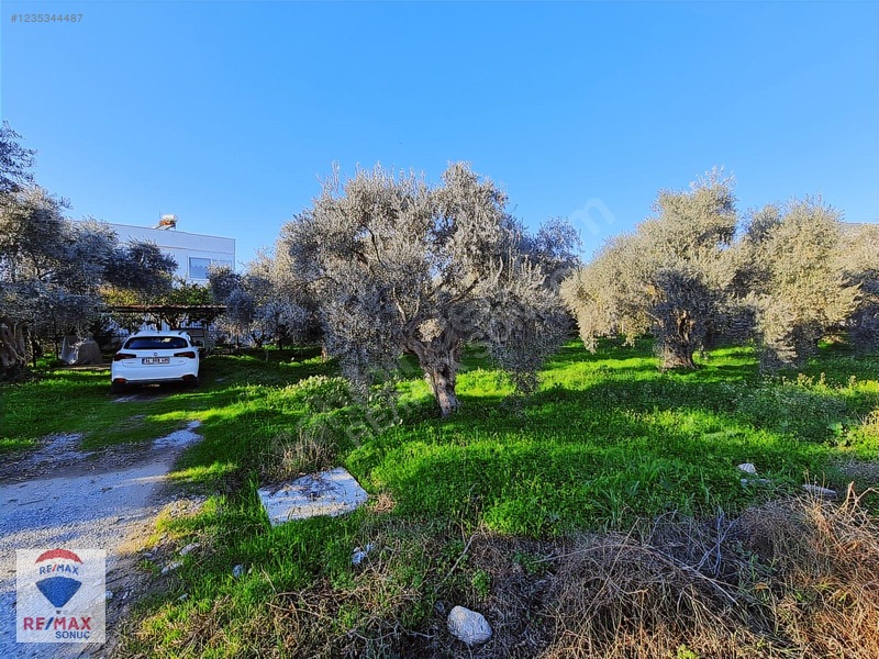 Portakal Bahçeleri İçinde & Denize 400mt Mesafede Müstakil Ev — fotoğraf 30