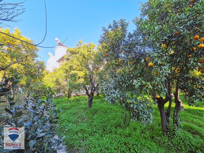 Portakal Bahçeleri İçinde & Denize 400mt Mesafede Müstakil Ev — fotoğraf 35