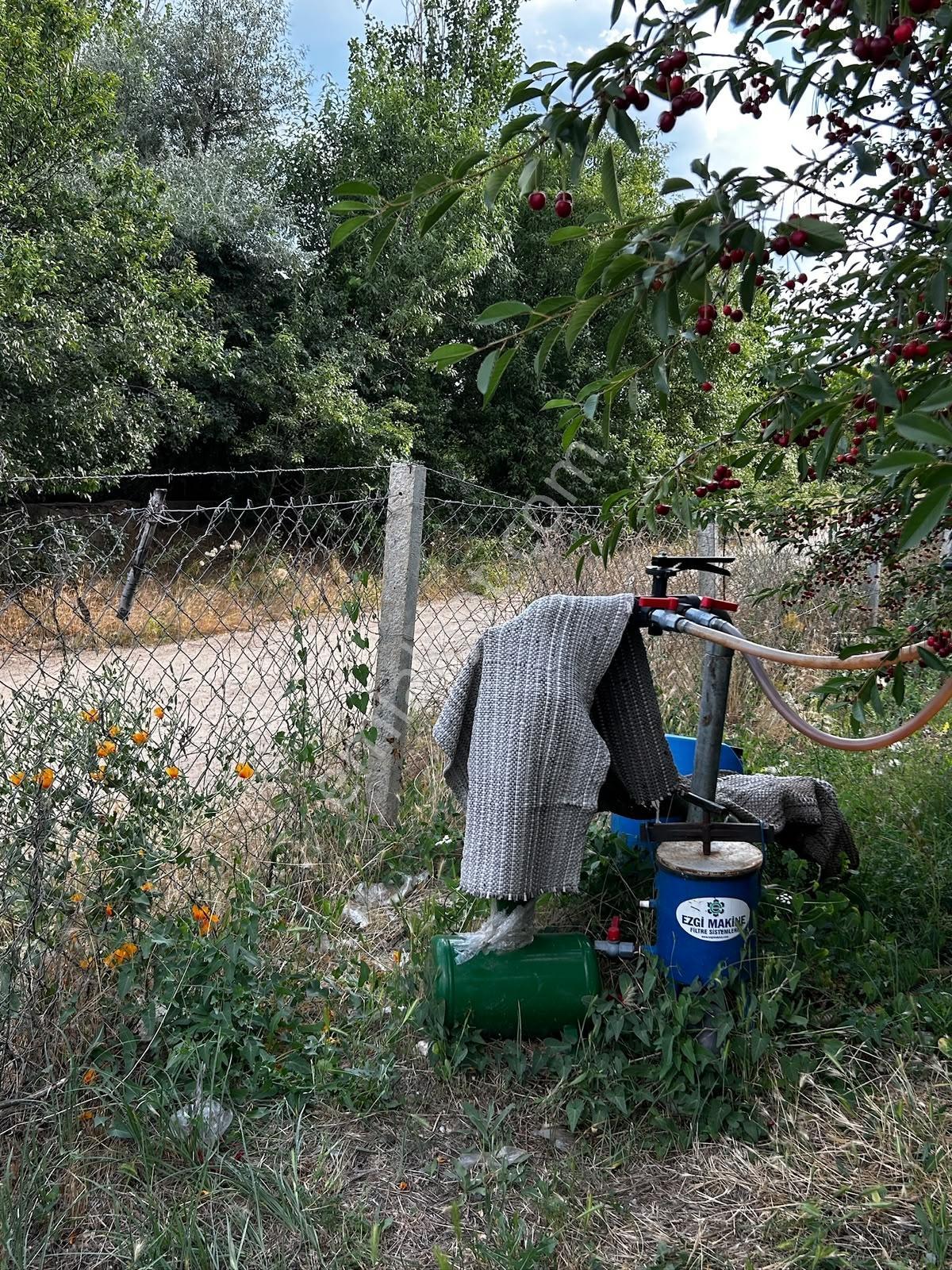 Senirkent Te 4 Parça Toplam 9975 M Satılık Kayısı Bahçesi — fotoğraf 23