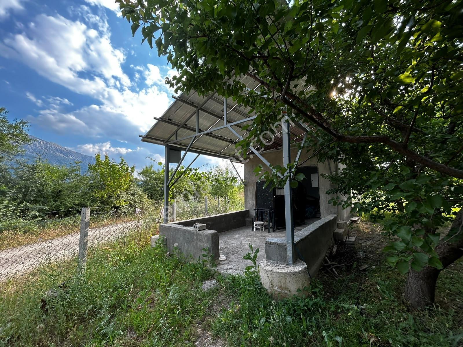 Senirkent Te 4 Parça Toplam 9975 M Satılık Kayısı Bahçesi — fotoğraf 32