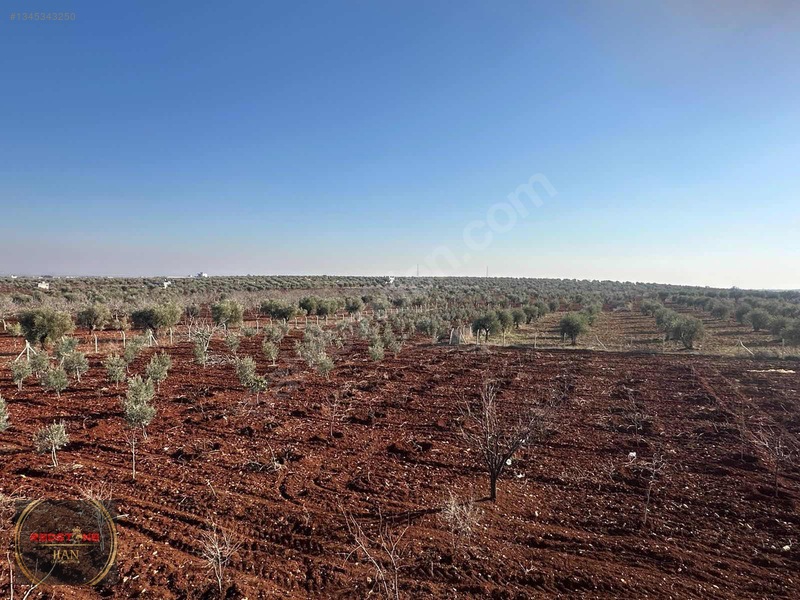 Redstone Akçabağlar Bağevleri Bölgesinde Satılık Bağevi Ve Arazi — fotoğraf 11
