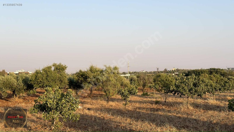Redstone Yeni Hastane Bölgesinde A5 İmarlı Ana Yol Üzeri Arsa