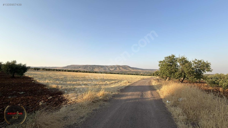 Redstone Yeni Hastane Bölgesinde A5 İmarlı Ana Yol Üzeri Arsa — fotoğraf 2