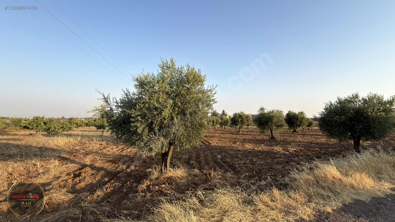 Redstone Yeni Hastane Bölgesinde A5 İmarlı Ana Yol Üzeri Arsa — fotoğraf 3