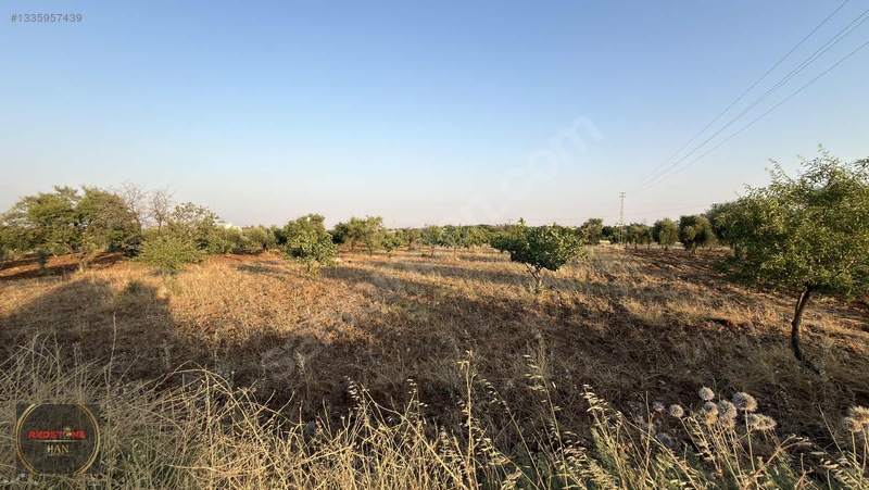 Redstone Yeni Hastane Bölgesinde A5 İmarlı Ana Yol Üzeri Arsa — fotoğraf 4