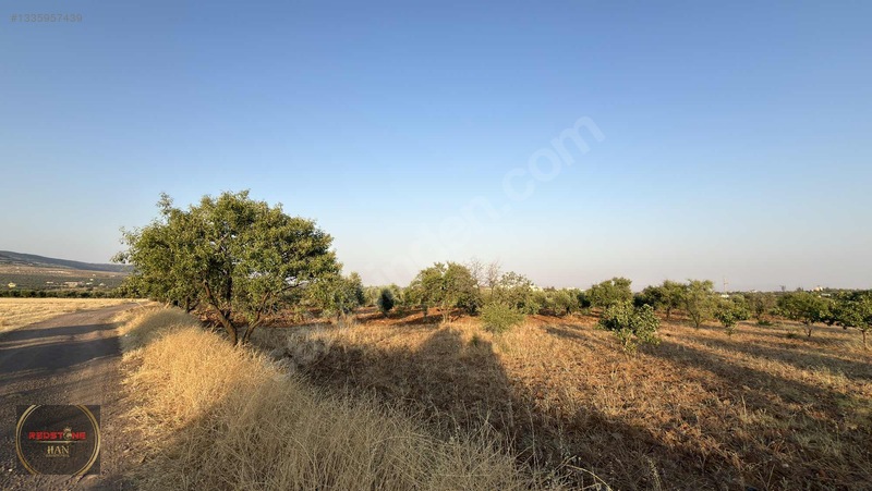 Redstone Yeni Hastane Bölgesinde A5 İmarlı Ana Yol Üzeri Arsa — fotoğraf 5