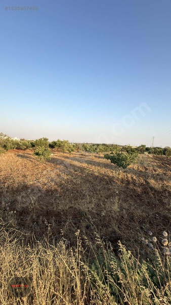 Redstone Yeni Hastane Bölgesinde A5 İmarlı Ana Yol Üzeri Arsa — fotoğraf 6