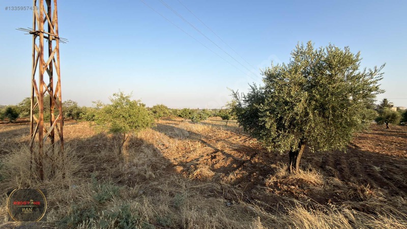 Redstone Yeni Hastane Bölgesinde A5 İmarlı Ana Yol Üzeri Arsa — fotoğraf 7