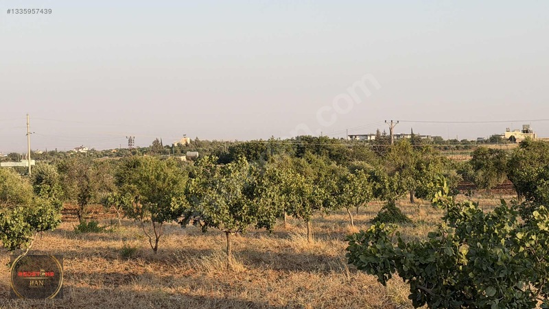 Redstone Yeni Hastane Bölgesinde A5 İmarlı Ana Yol Üzeri Arsa — fotoğraf 8