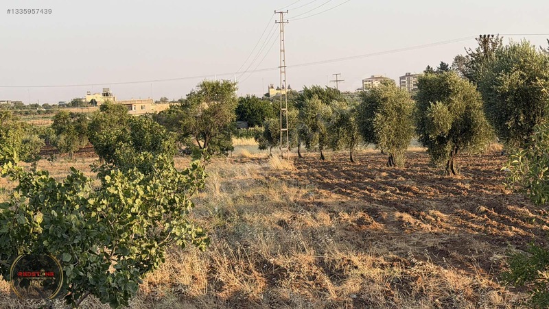 Redstone Yeni Hastane Bölgesinde A5 İmarlı Ana Yol Üzeri Arsa — fotoğraf 9