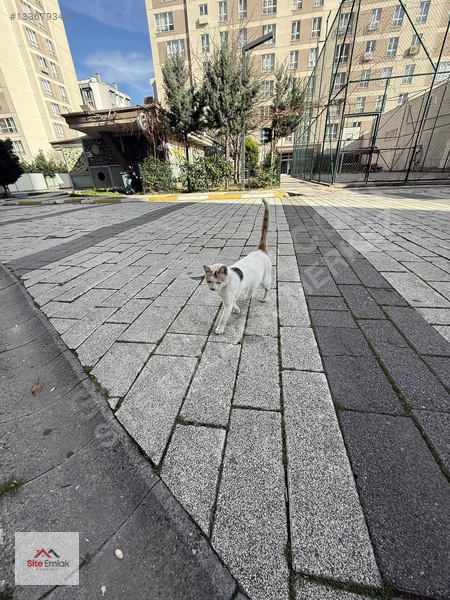 Özyurtlar Nmerkez Sitesi De Satılık Boş 1+1 — fotoğraf 35