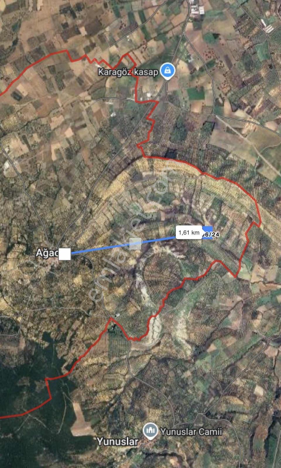 Balıkesir Burhaniye Ağacık'ta Yol Üstü 1.671 M² Fırsat Zeytinlik — fotoğraf 4