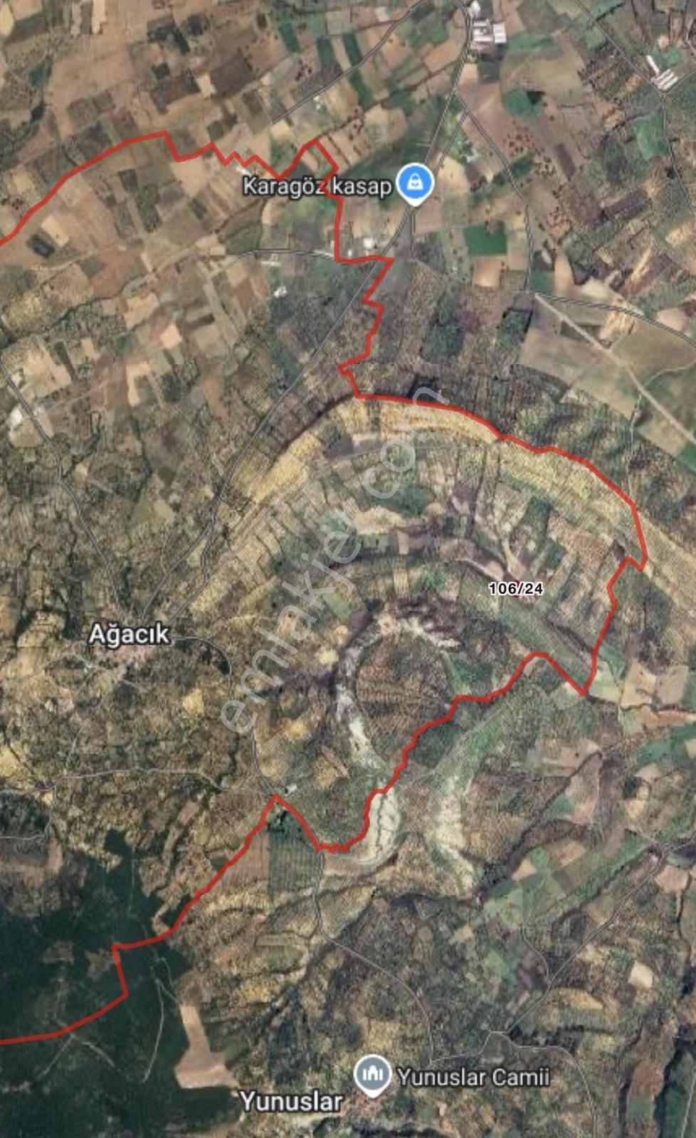 Balıkesir Burhaniye Ağacık'ta Yol Üstü 1.671 M² Fırsat Zeytinlik — fotoğraf 7