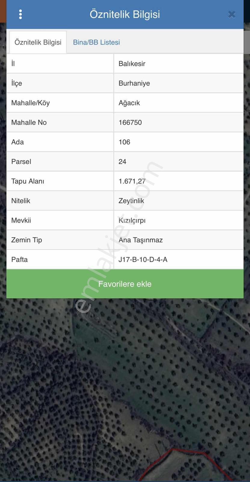 Balıkesir Burhaniye Ağacık'ta Yol Üstü 1.671 M² Fırsat Zeytinlik — fotoğraf 9