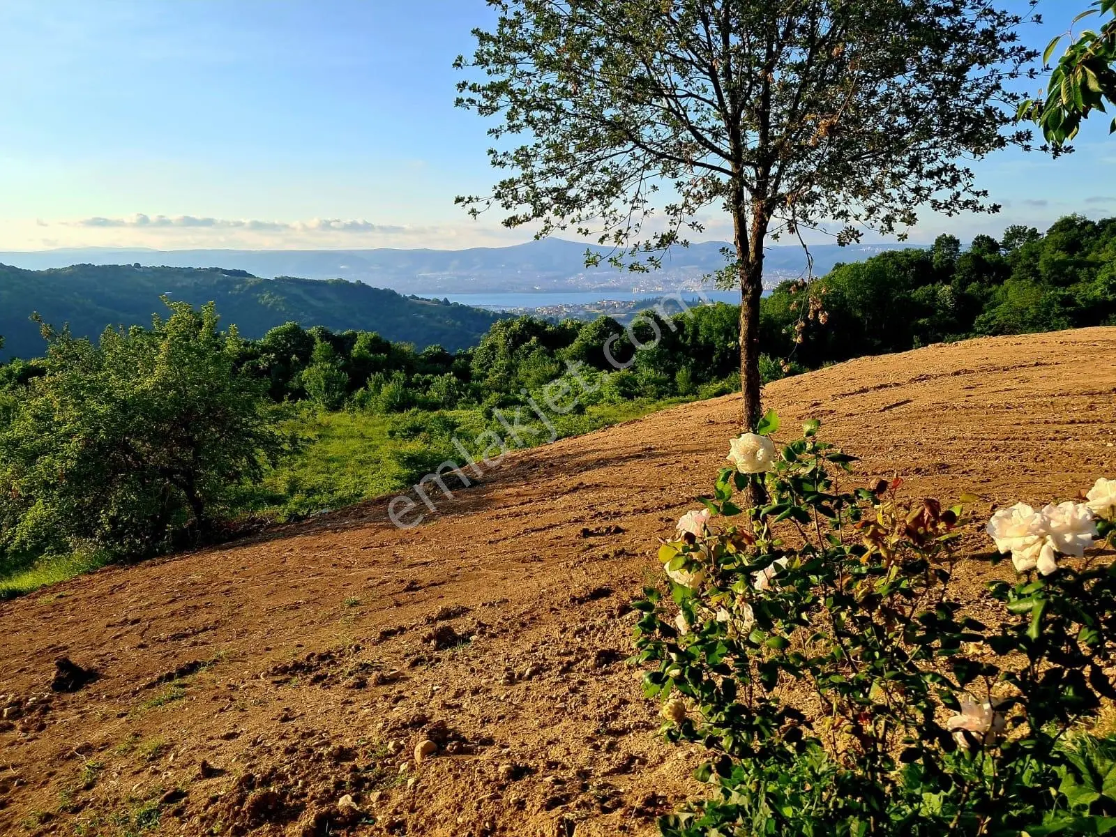 Aydın Emlak’tan İhsaniye’de Deniz Ve Doğa Manzaralı Ev+arazi — fotoğraf 12
