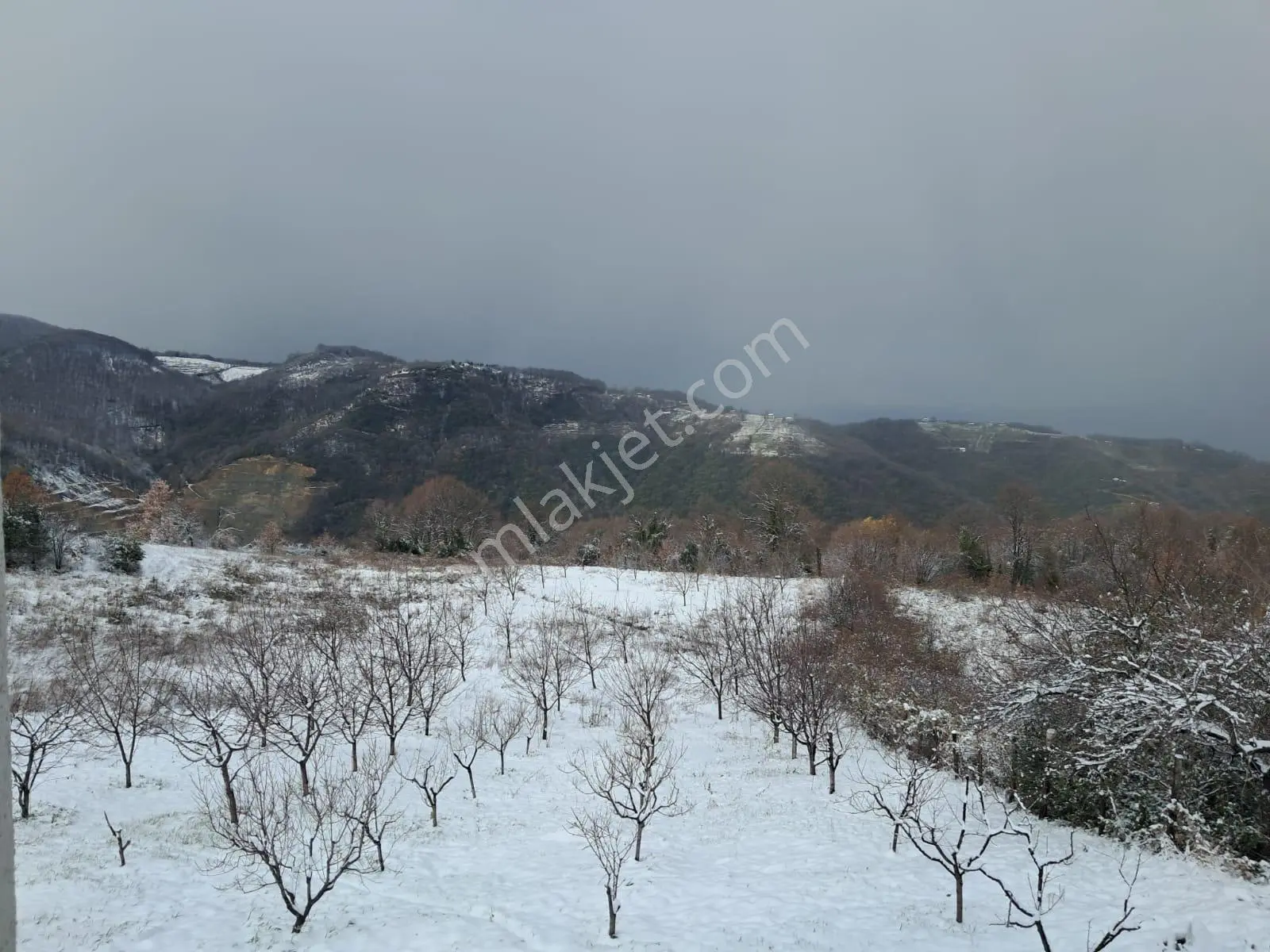 Aydın Emlak’tan İhsaniye’de Deniz Ve Doğa Manzaralı Ev+arazi — fotoğraf 18