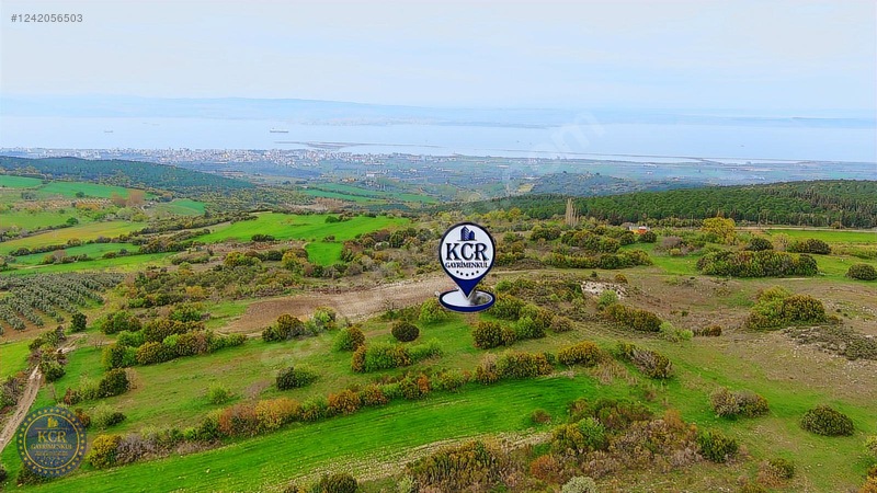 Çanakkale Mecidiyede Boğaz Manzaralı Satılık İki Adet Tarla — fotoğraf 23