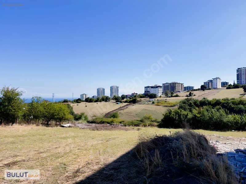 Bulut Emlak,677m² 22 Adet 1+1 Potansiyeli 2 Bulvar Projesi — fotoğraf 13