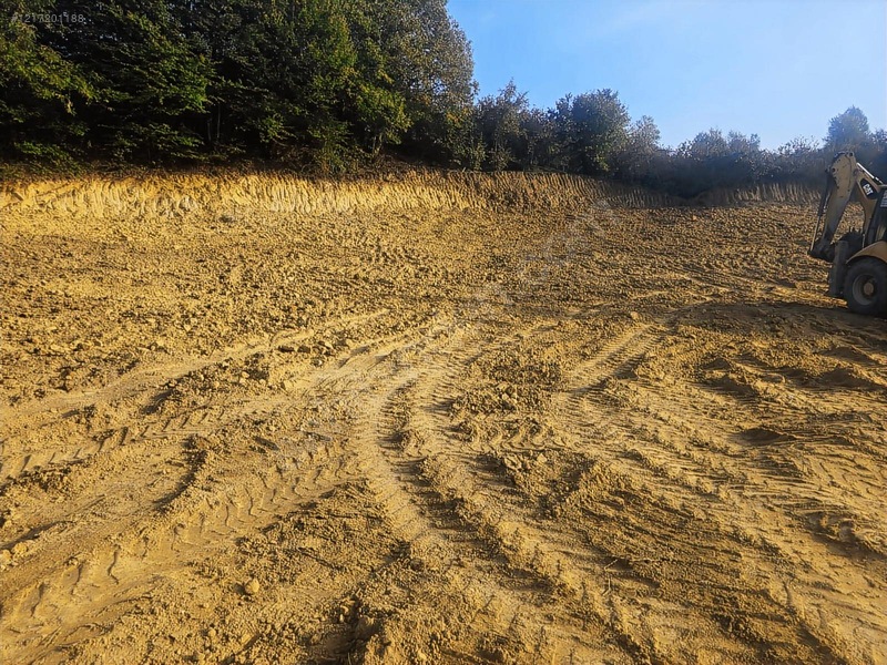 Eski Emlaktan Düzce Akçakoca Uğurlu Köyünde 1000 M2 Tektapu Arsa — fotoğraf 3