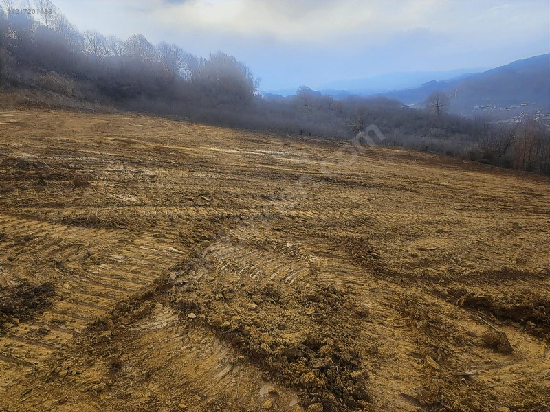 Eski Emlaktan Düzce Akçakoca Uğurlu Köyünde 1000 M2 Tektapu Arsa — fotoğraf 17