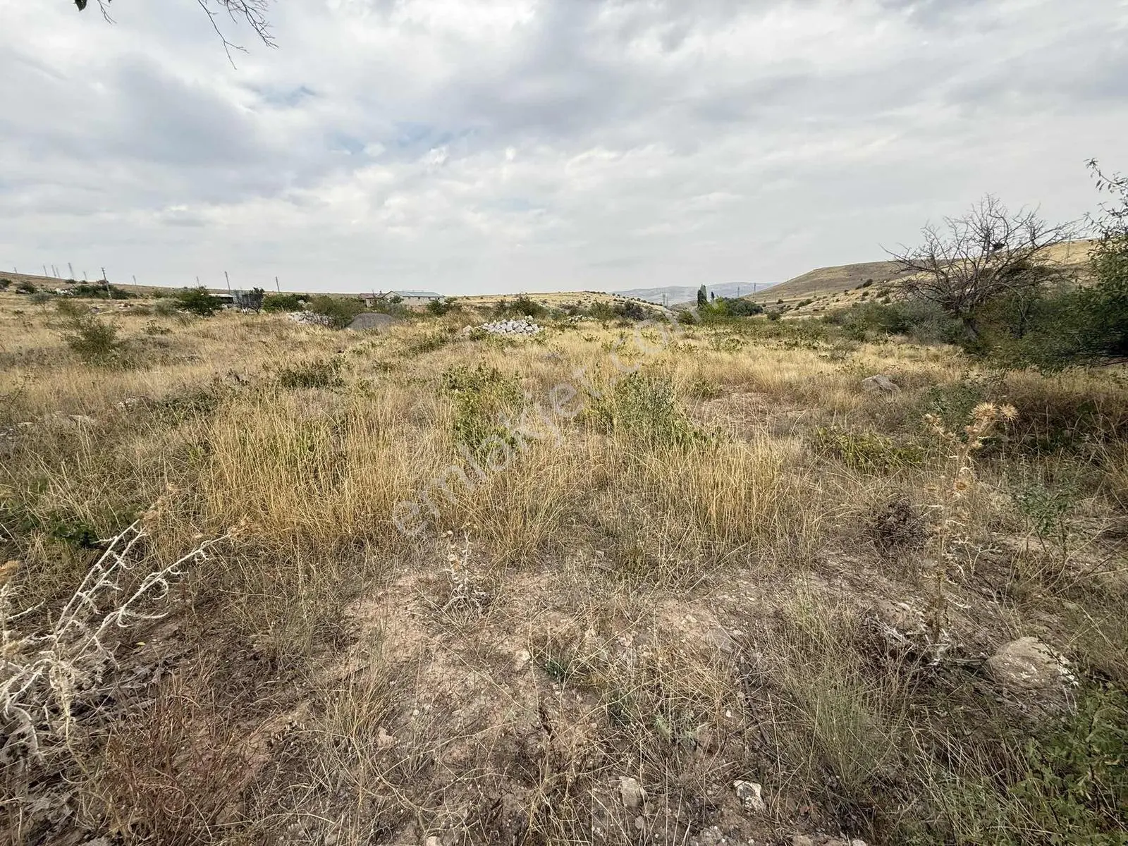Ağırnas'da Asvalt Yol Kenarı 3.760 M2 Bağ — fotoğraf 4