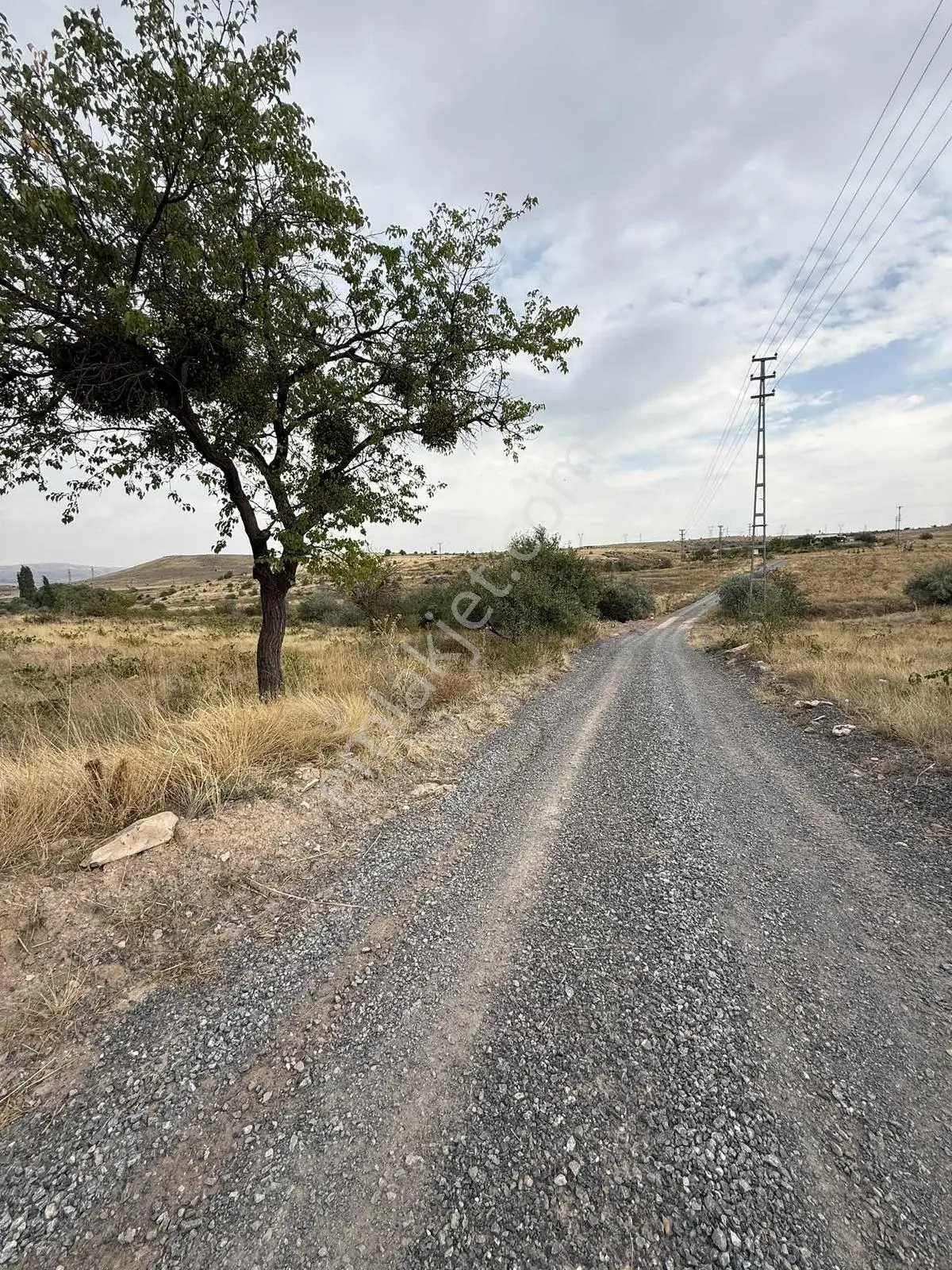 Ağırnas'da Asvalt Yol Kenarı 3.760 M2 Bağ — fotoğraf 5