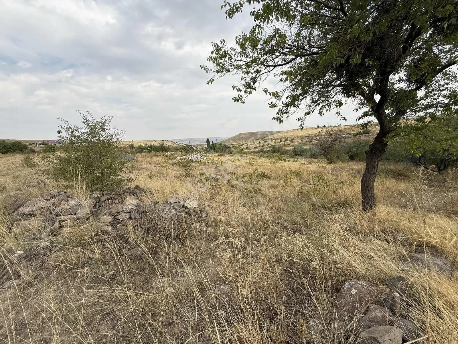 Ağırnas'da Asvalt Yol Kenarı 3.760 M2 Bağ — fotoğraf 6