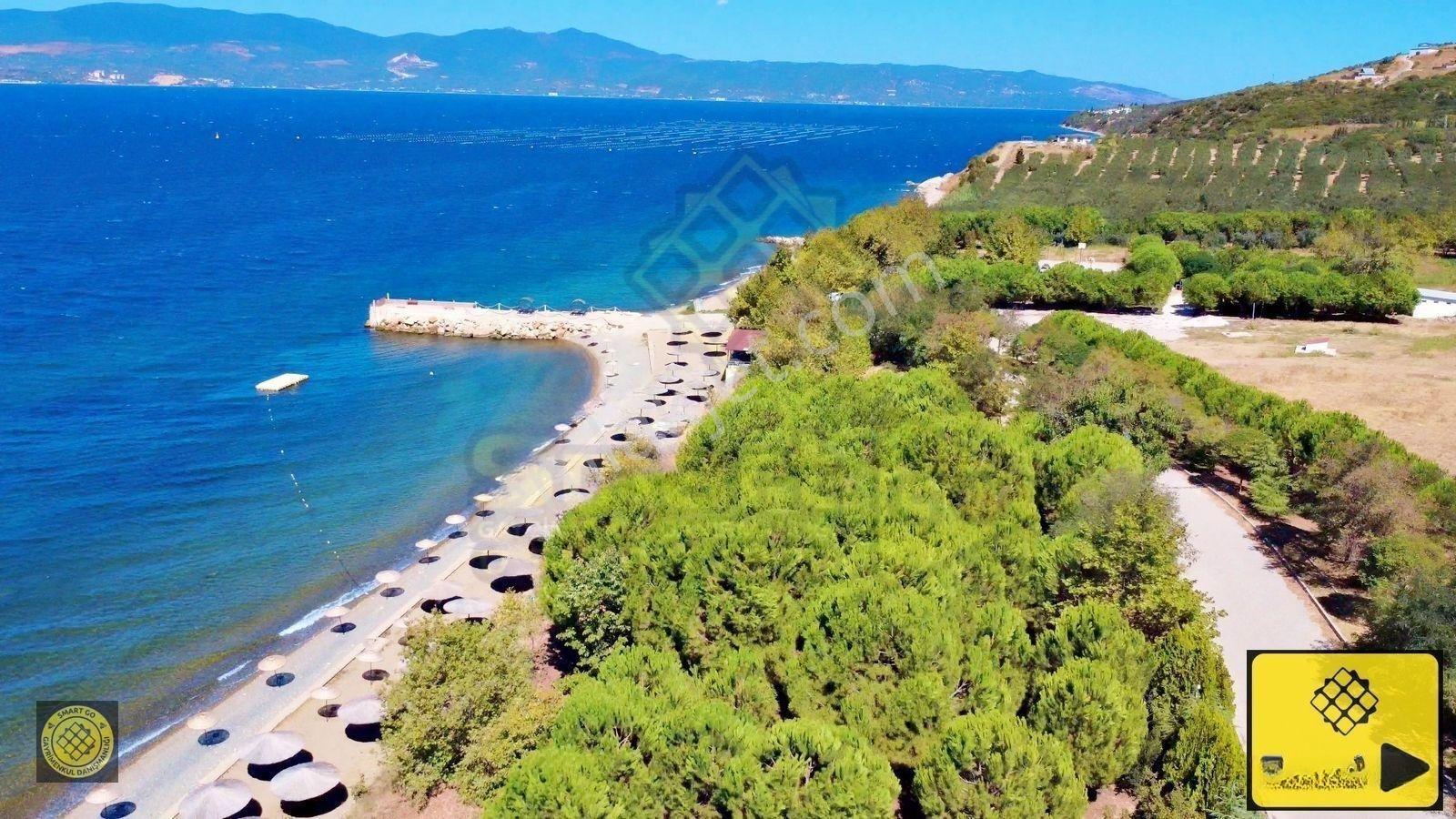 Smart Go'dan Yeşile Ve Maviye Doyuran 4+1 Satılık Tripleks Villa — fotoğraf 2