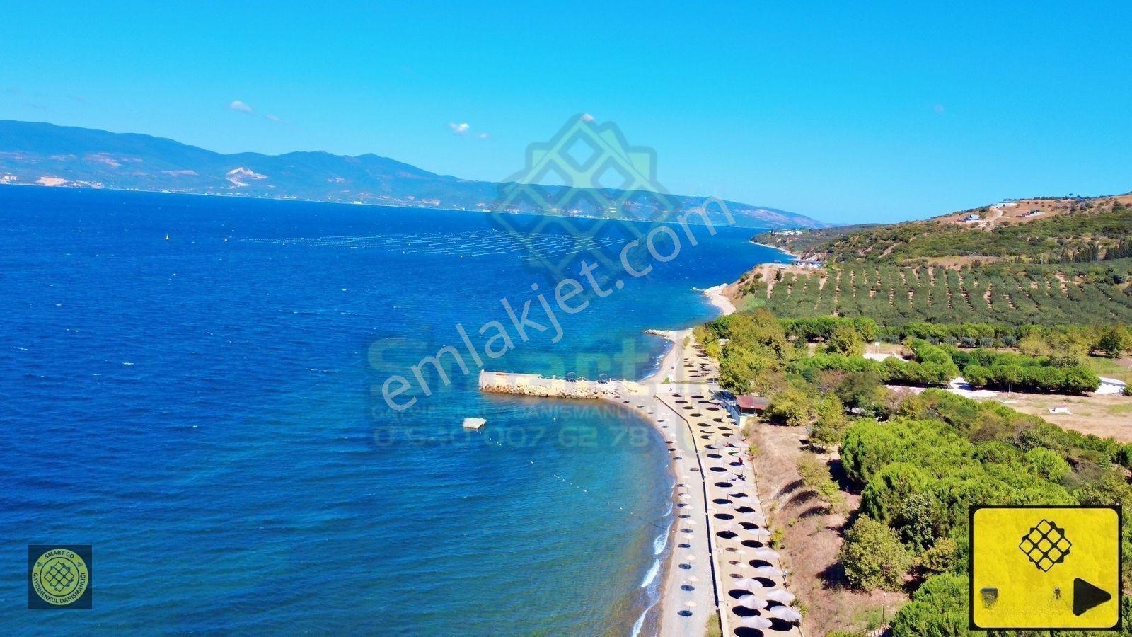 Smart Go'dan Yeşile Ve Maviye Doyuran 4+1 Satılık Tripleks Villa — fotoğraf 35