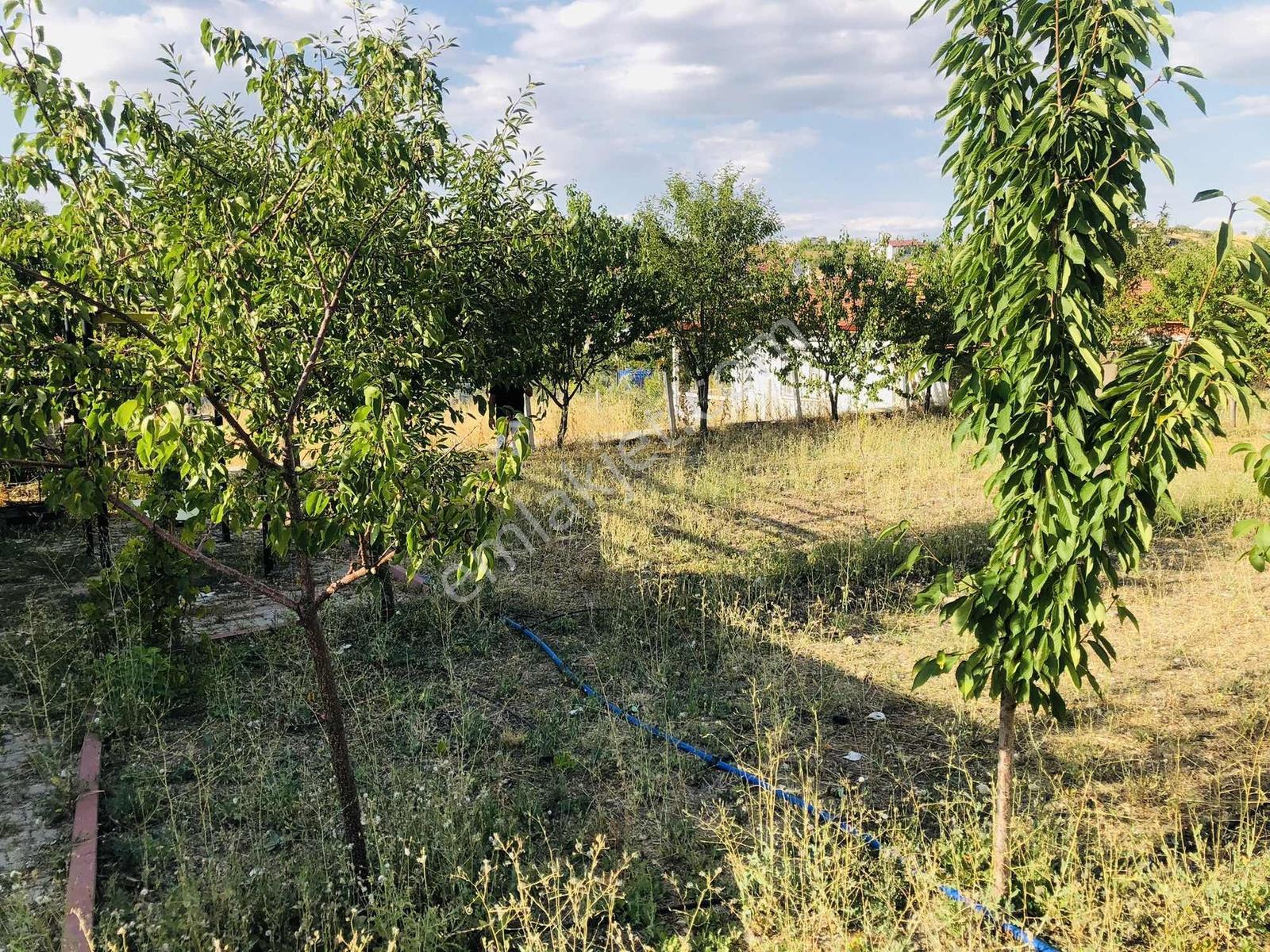 Winnest'ten Kavaklı Köyünde İçinde 2+1 Betonarme Evli Arsa — fotoğraf 6