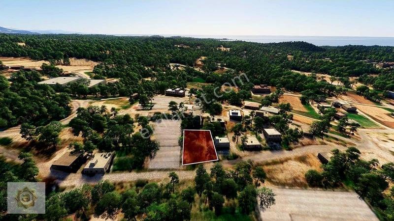 Alanya Avsallar'da Deniz Manzaralı 1 Emsal Yatırımlık Arsa — fotoğraf 4