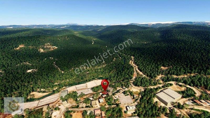 Alanya Avsallar'da Deniz Manzaralı 1 Emsal Yatırımlık Arsa — fotoğraf 9