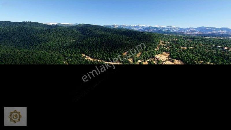 Alanya Avsallar'da Deniz Manzaralı 1 Emsal Yatırımlık Arsa — fotoğraf 10