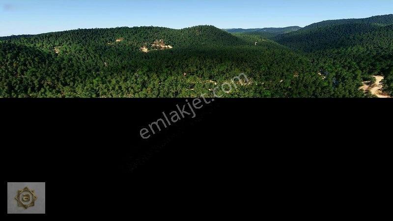 Alanya Avsallar'da Deniz Manzaralı 1 Emsal Yatırımlık Arsa — fotoğraf 11