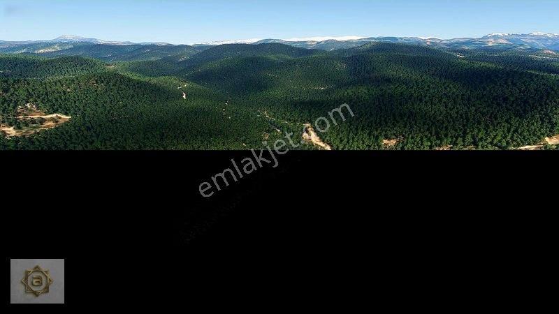 Alanya Avsallar'da Deniz Manzaralı 1 Emsal Yatırımlık Arsa — fotoğraf 14